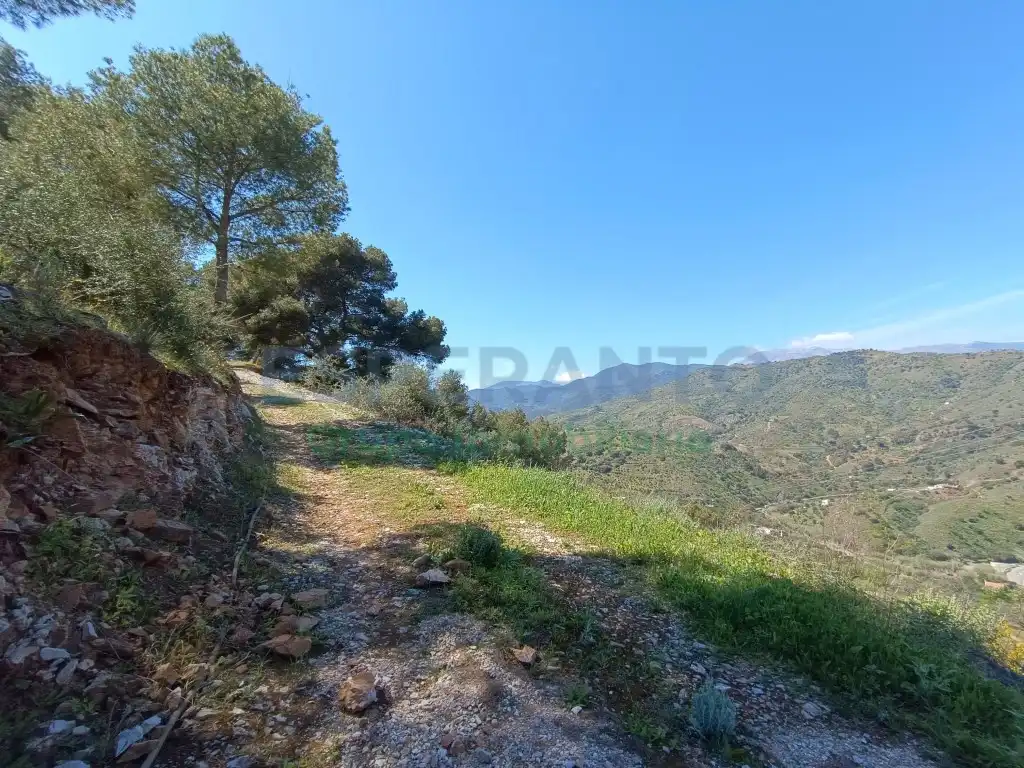 Terreno rustico in vendita a Diseminados Diseminados, imagen 13