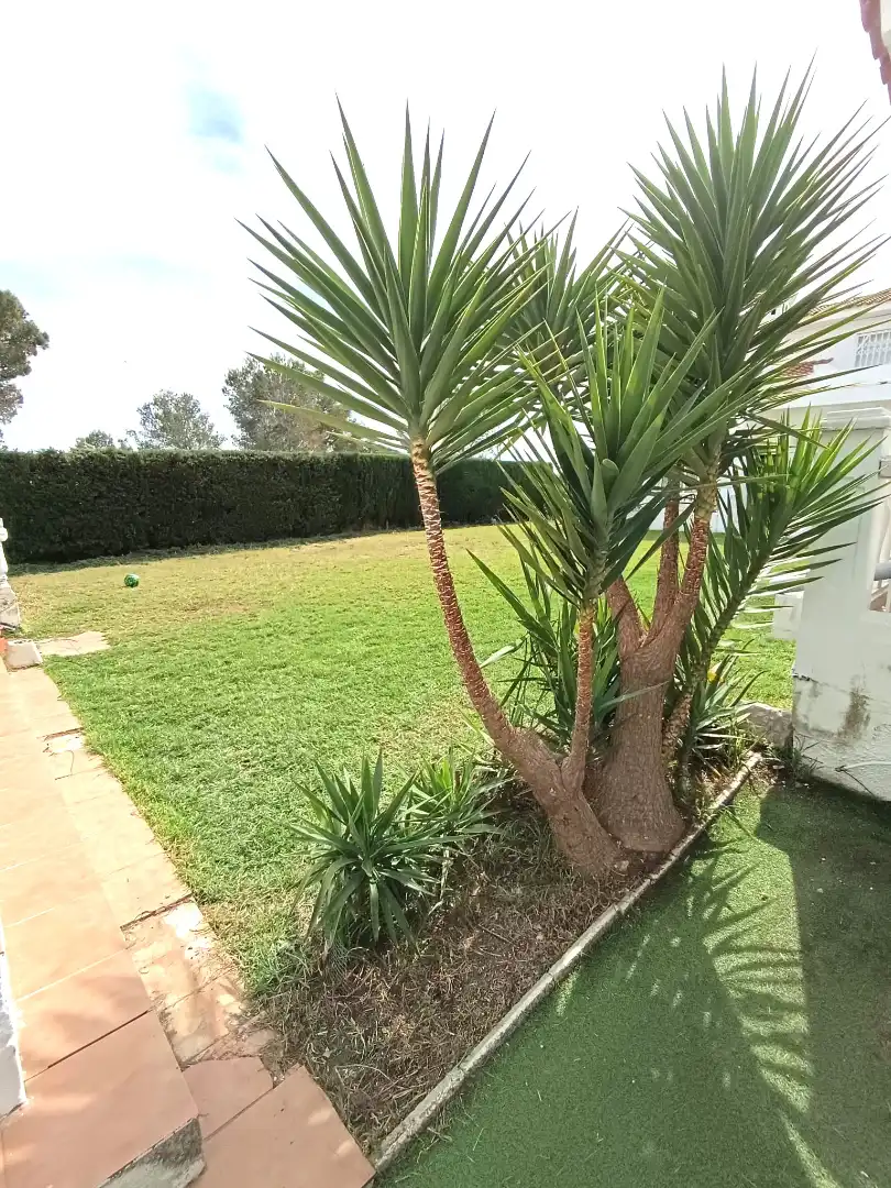 Garten von Einfamilien-Reihenhaus zum Verkauf in Mont-roig del Camp mit Klimaanlage, Heizung und Privatgarten