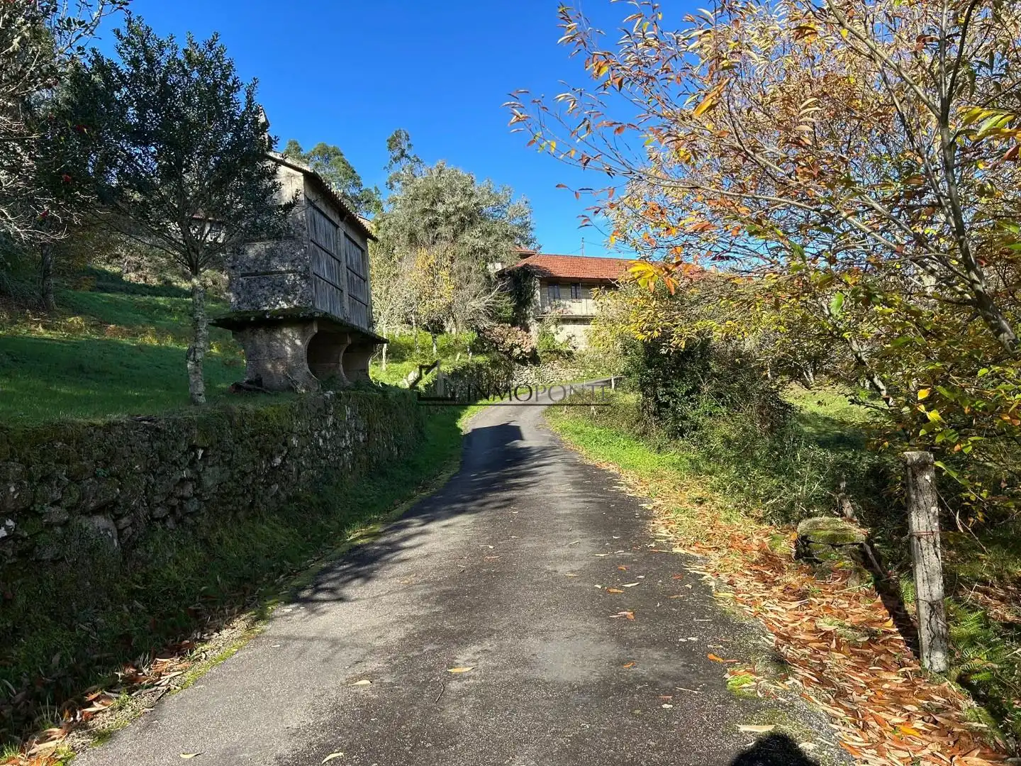 Vista exterior de Casa o xalet en venda en Cerdedo amb Jardí privat