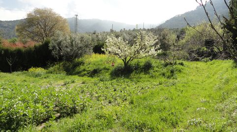 Foto 4 de Terreno en venta en La Iruela, Jaén