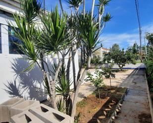 Vista exterior de Casa o xalet en venda en Alcanar amb Terrassa