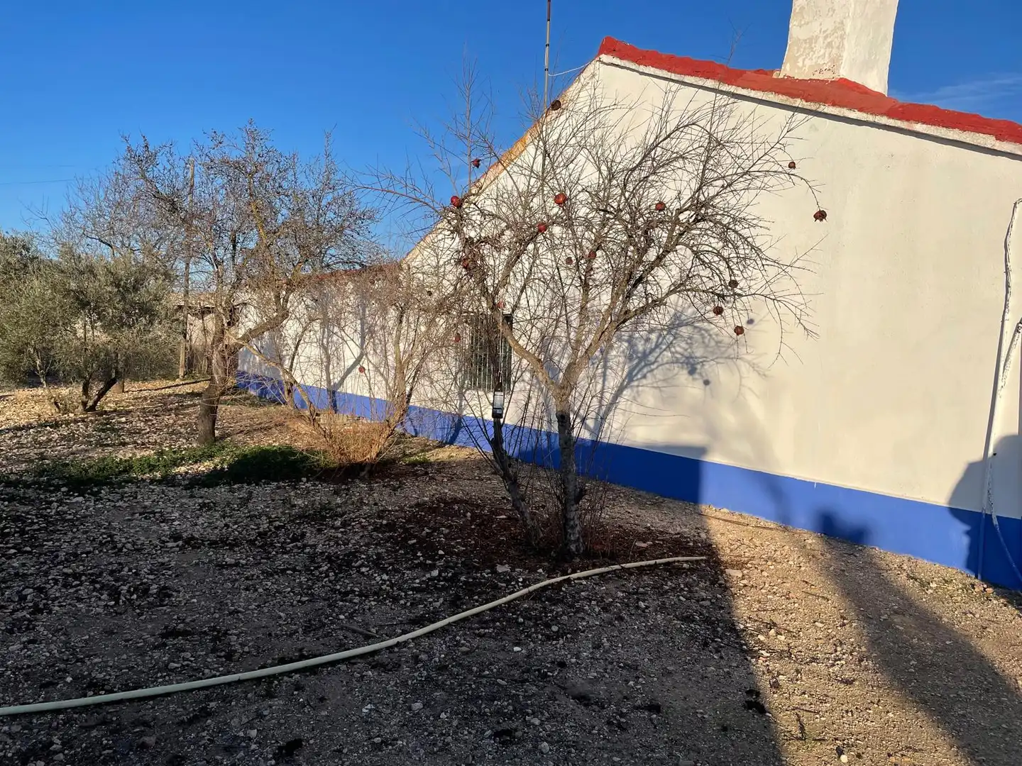 Vista exterior de Finca rústica en venta en Ciudad Real con Amueblado
