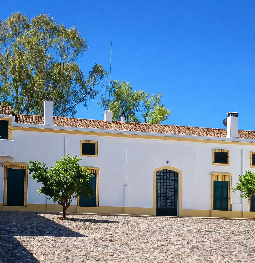 Vista exterior de Finca rústica en venda en Badajoz amb Jardí privat, Terrassa i Piscina