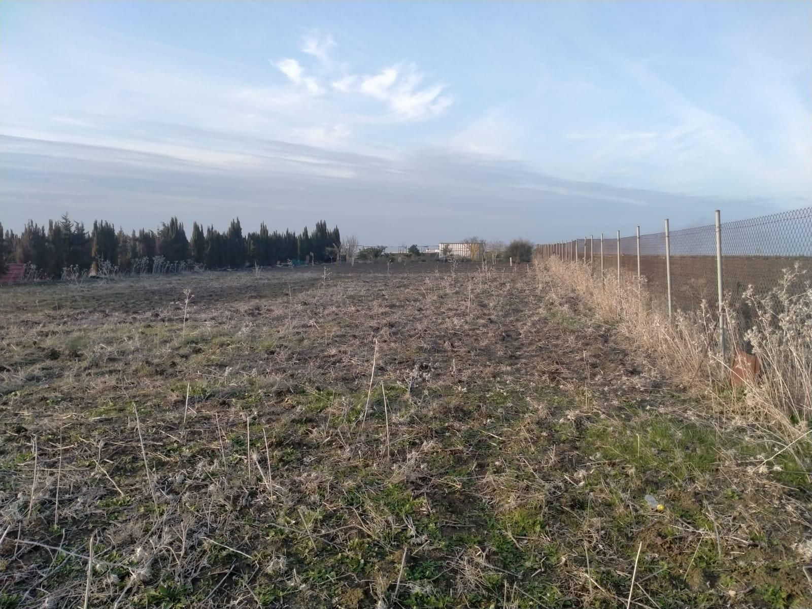 Residential for sale in Chipiona