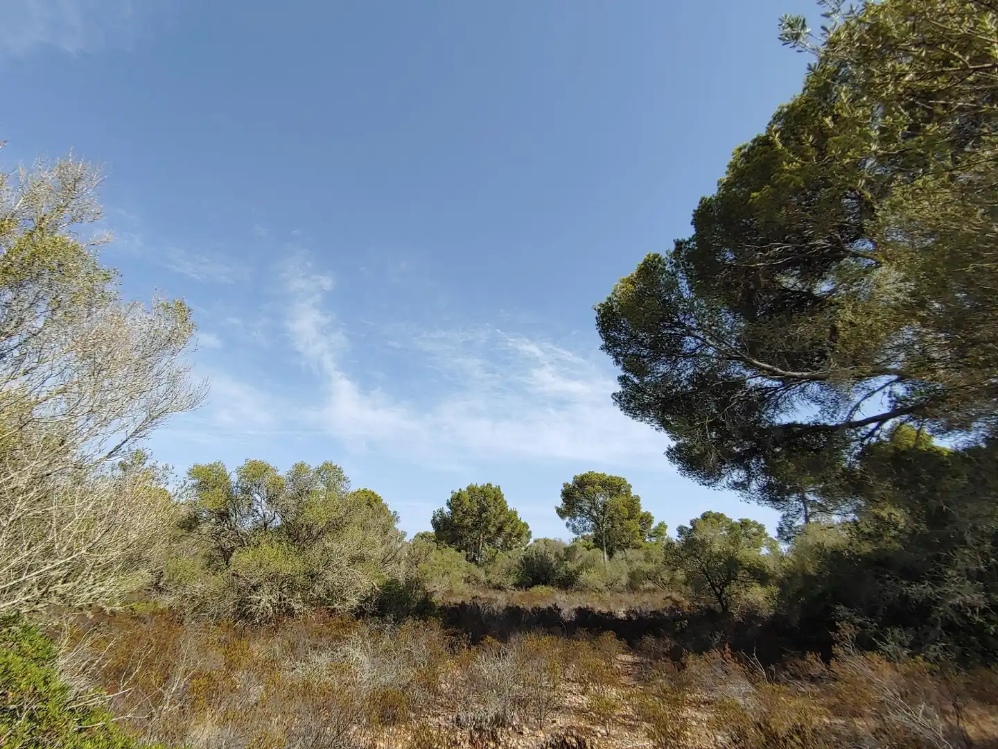 Residencial en venta en Polígono Parcela 12, Cala Pi - Vallgornera