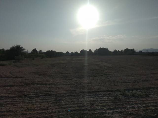 Terreno residencial en Venta en Crevillent