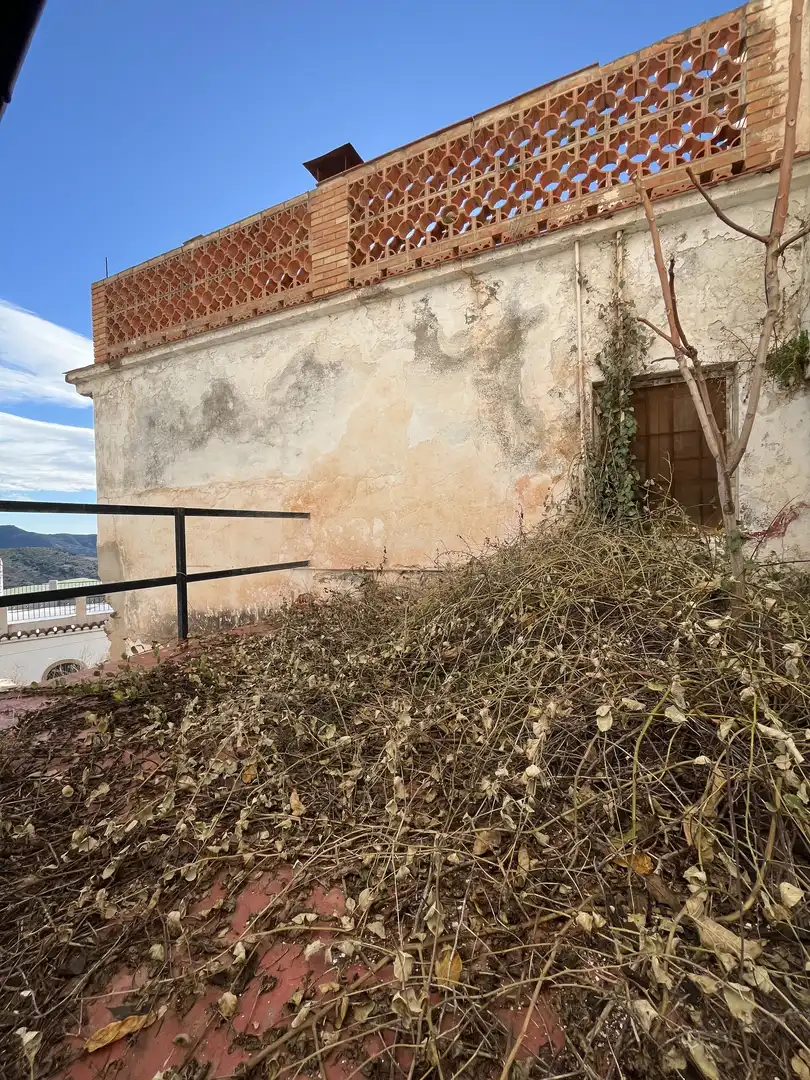 Jardí de Finca rústica en venda en Málaga