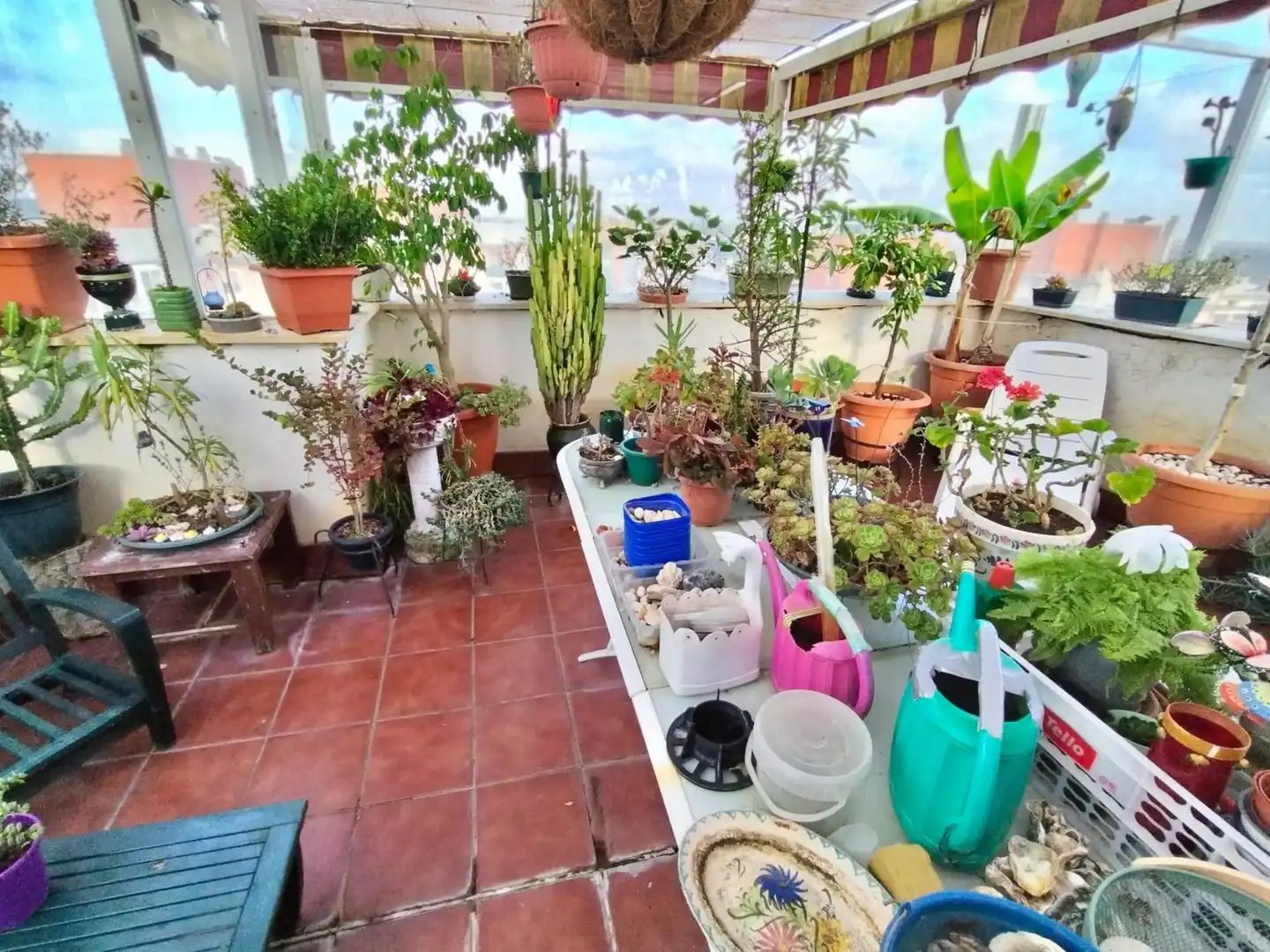 Terrace of Attic for sale in Puerto Real  with Terrace, Storage room and Alarm