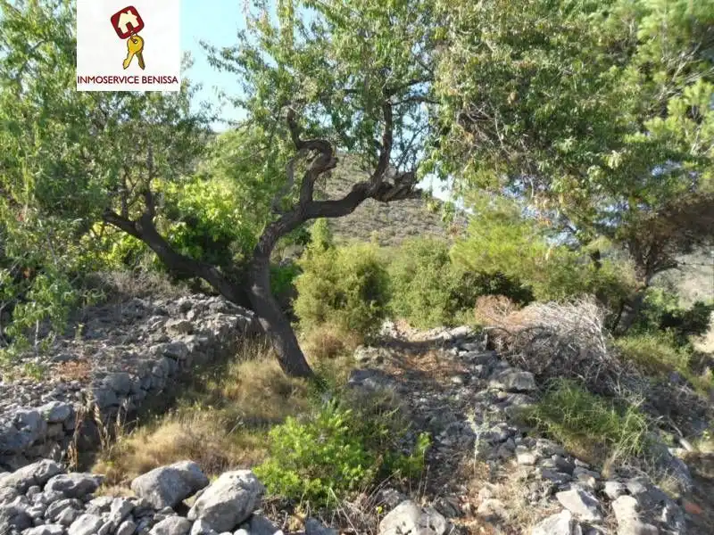 Terrenys i solars en venda a Llíber, imagen 3