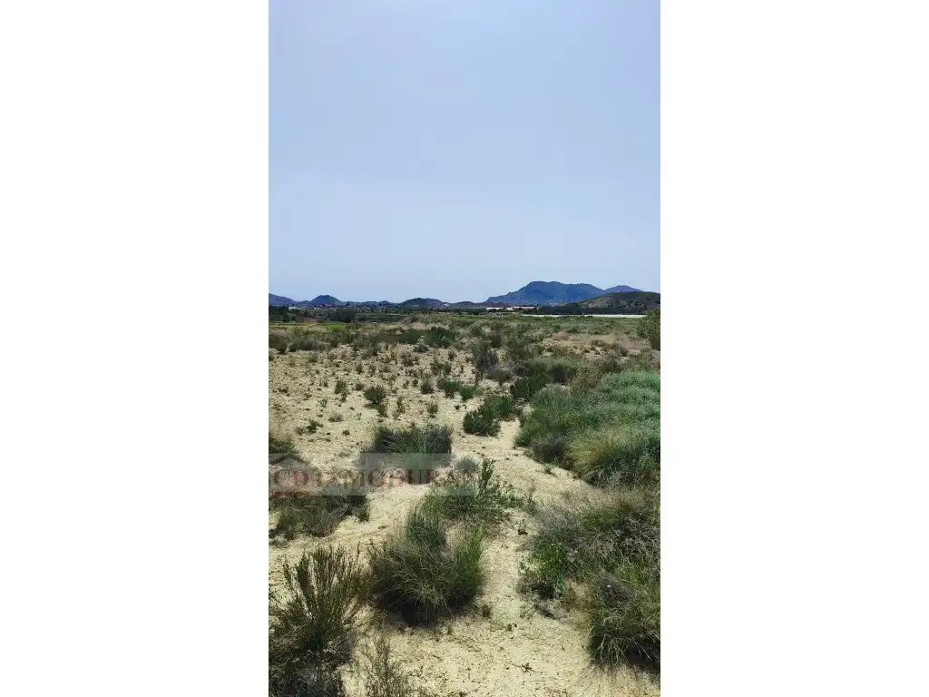 Terreno rustico in vendita a Carrer Ibi, imagen 21