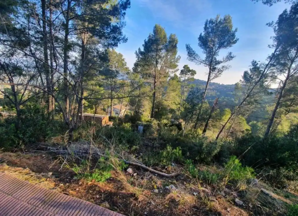 Terreny rústic en venda a CAN MONTMANY (DE), imagen 6