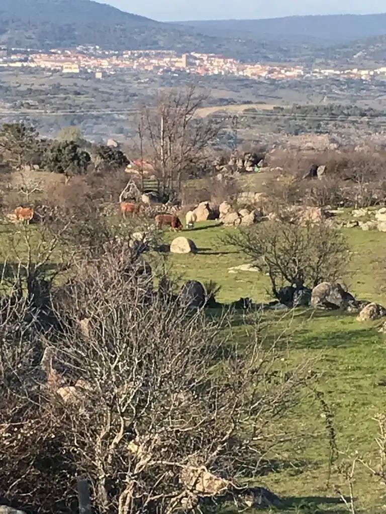 Terreni e lotti in vendita a El Tiemblo, imagen 4