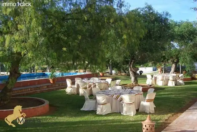 Business premises for sale in Carmona, imagen 5