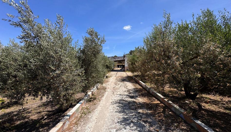 Foto 1 de Finca rústica en venda a Diseminados, Benigànim, Valencia