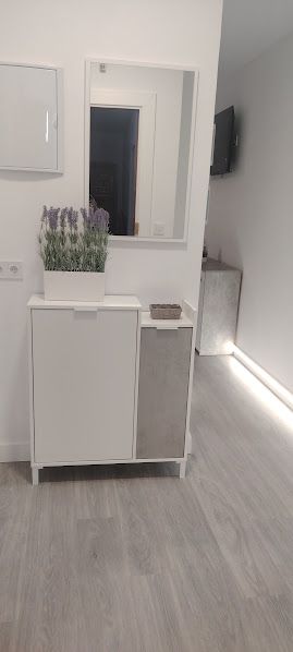 Flat to rent in Linares  with Air Conditioner, Heating and Furnished