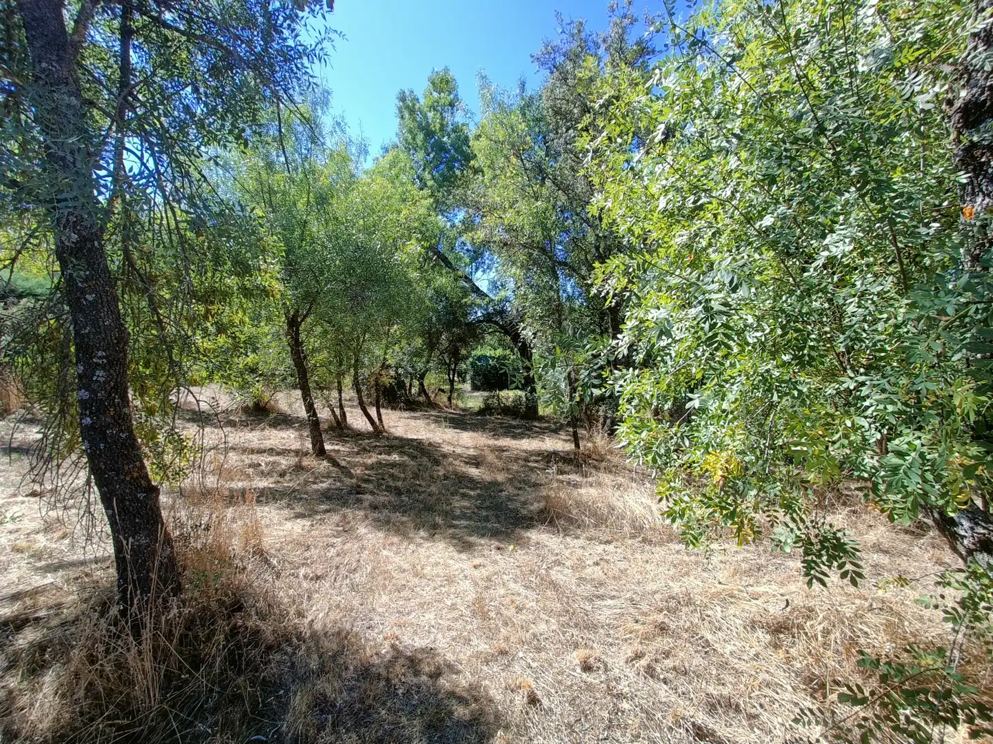 Terreny residencial en venda a Mojadillas - Parque de las Infantas - El Paraiso, imagen 8
