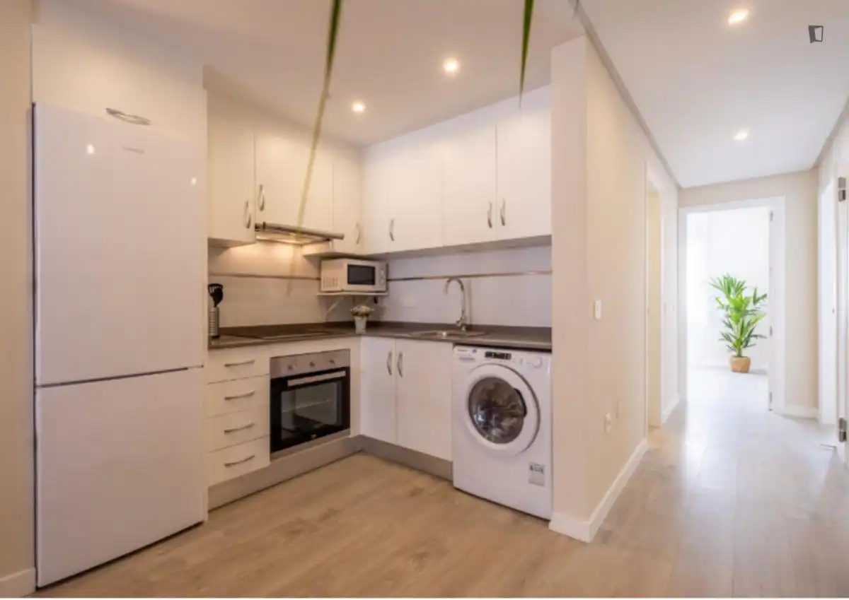 Cuina de Apartament de lloguer en Málaga amb Aire condicionat, Moblat i Forn
