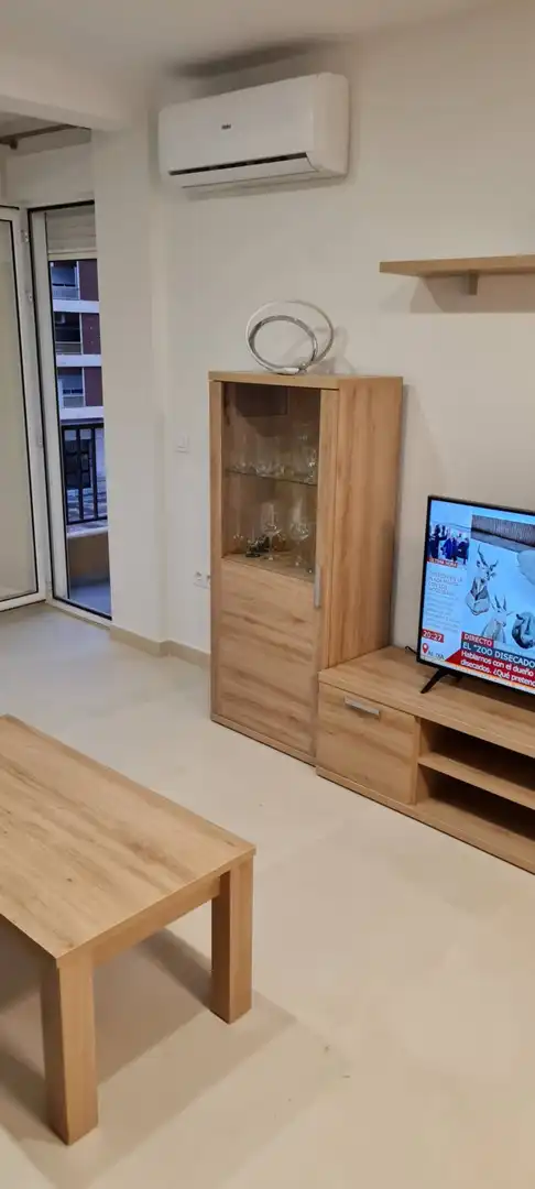 Sala d'estar de Pis de lloguer en Valencia amb Aire condicionat, Calefacció i Moblat