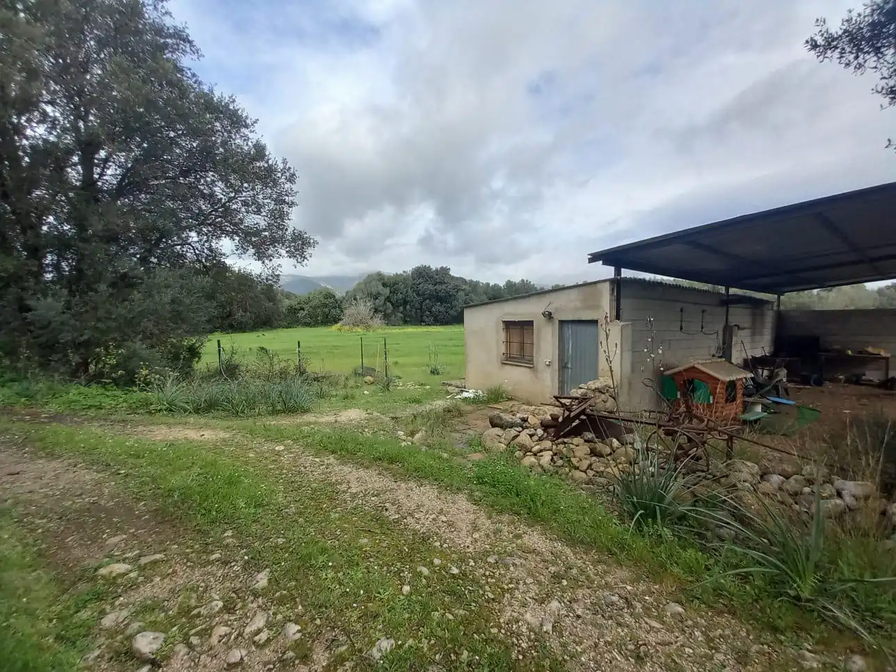 Villa zum Verkauf in Selva, imagen 5