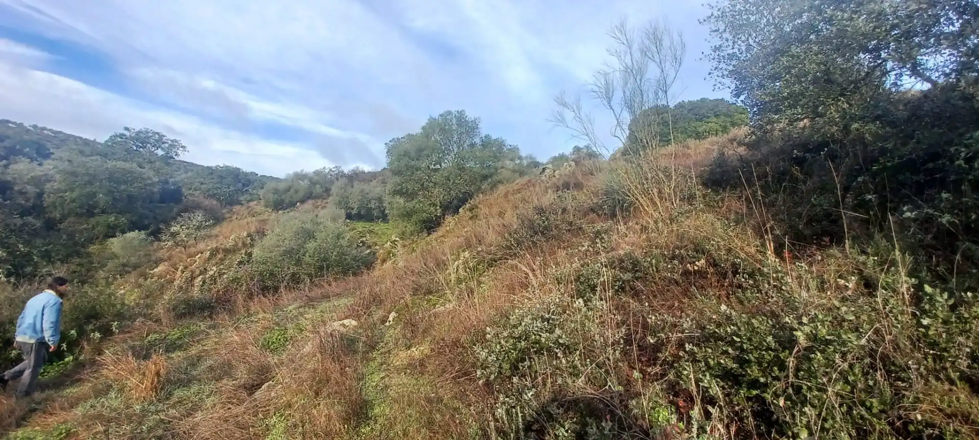 Terreny rústic en venda a Cazalla de la Sierra, imagen 33