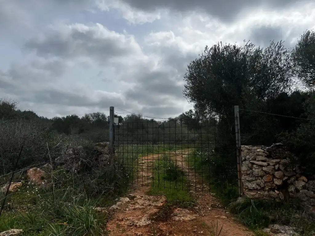 Finca rústica en venta en Campos