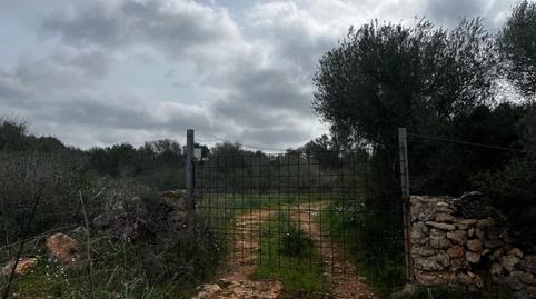 Foto 5 de Finca rústica en venta en Ds Polígono 16 Parcela 537 Son Trompa, Campos poble, Campos