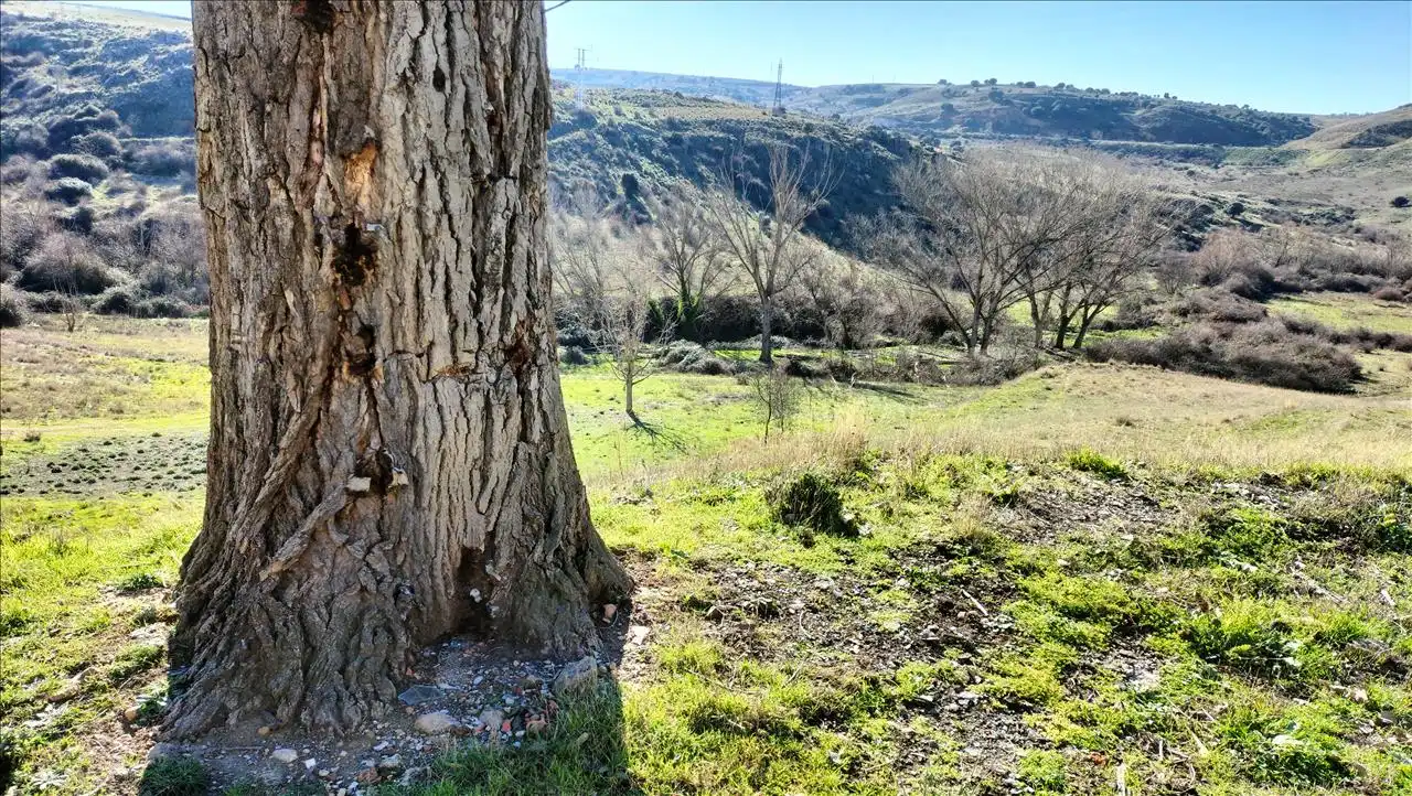 Residential for sale in De Tejadilla, El Cerro - Carretera de San Rafael