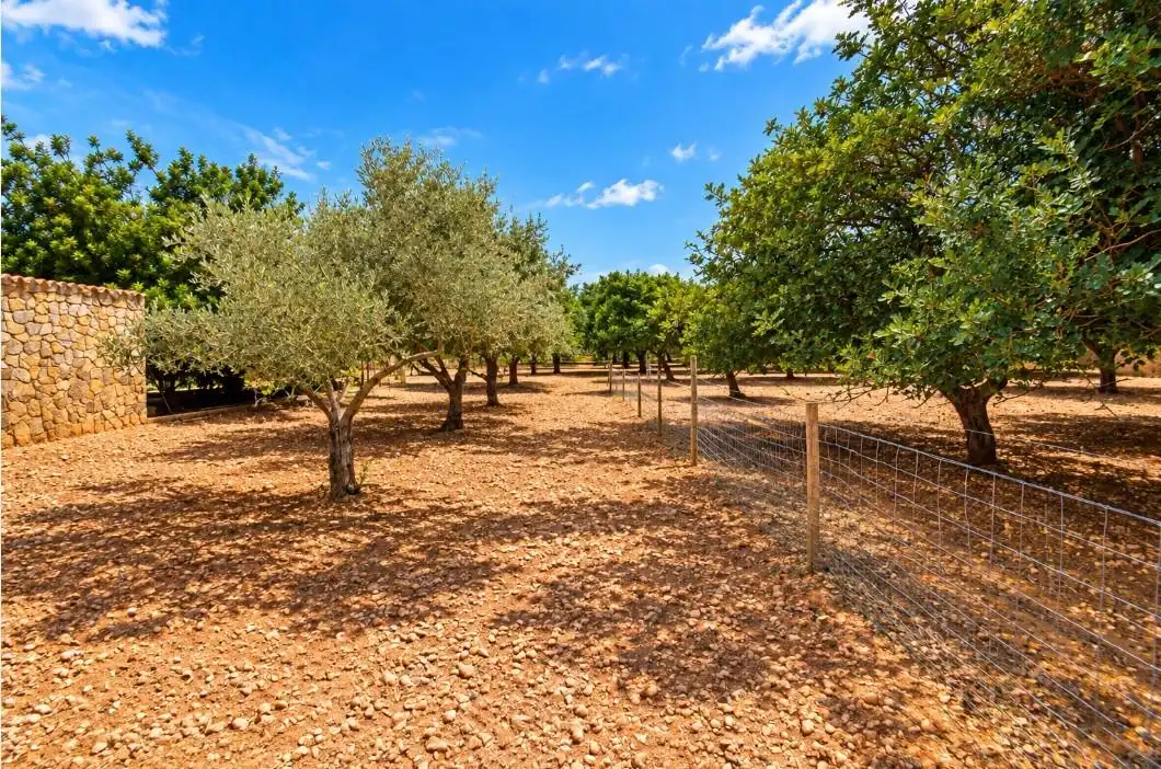 Country house with pool for sale in Centro, imagen 39