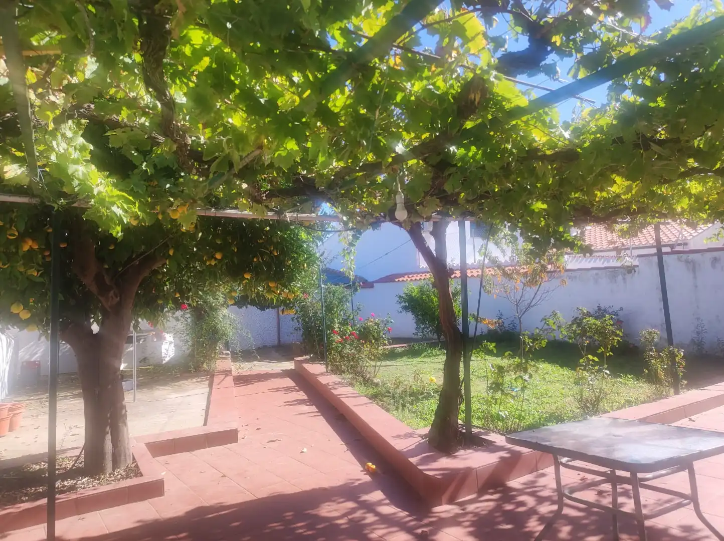 Jardí de Casa o xalet en venda en La Aldea del Obispo  amb Moblat
