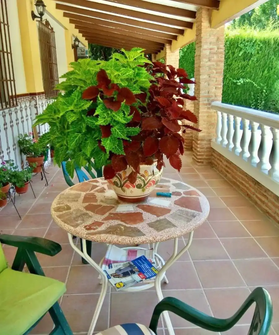 Terrace of Houses for sale in Jaén  with Air Conditioner, Heating and Private garden