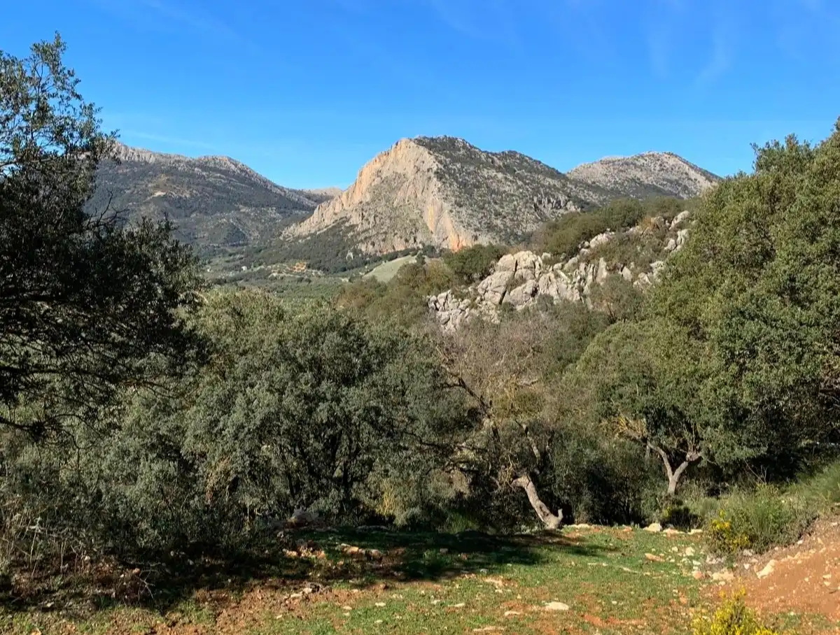 Casa rústica amb jardí en venda a Zafarraya, imagen 31