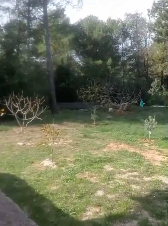 Maison rustique à vendre à Partida les Foyes, imagen 8