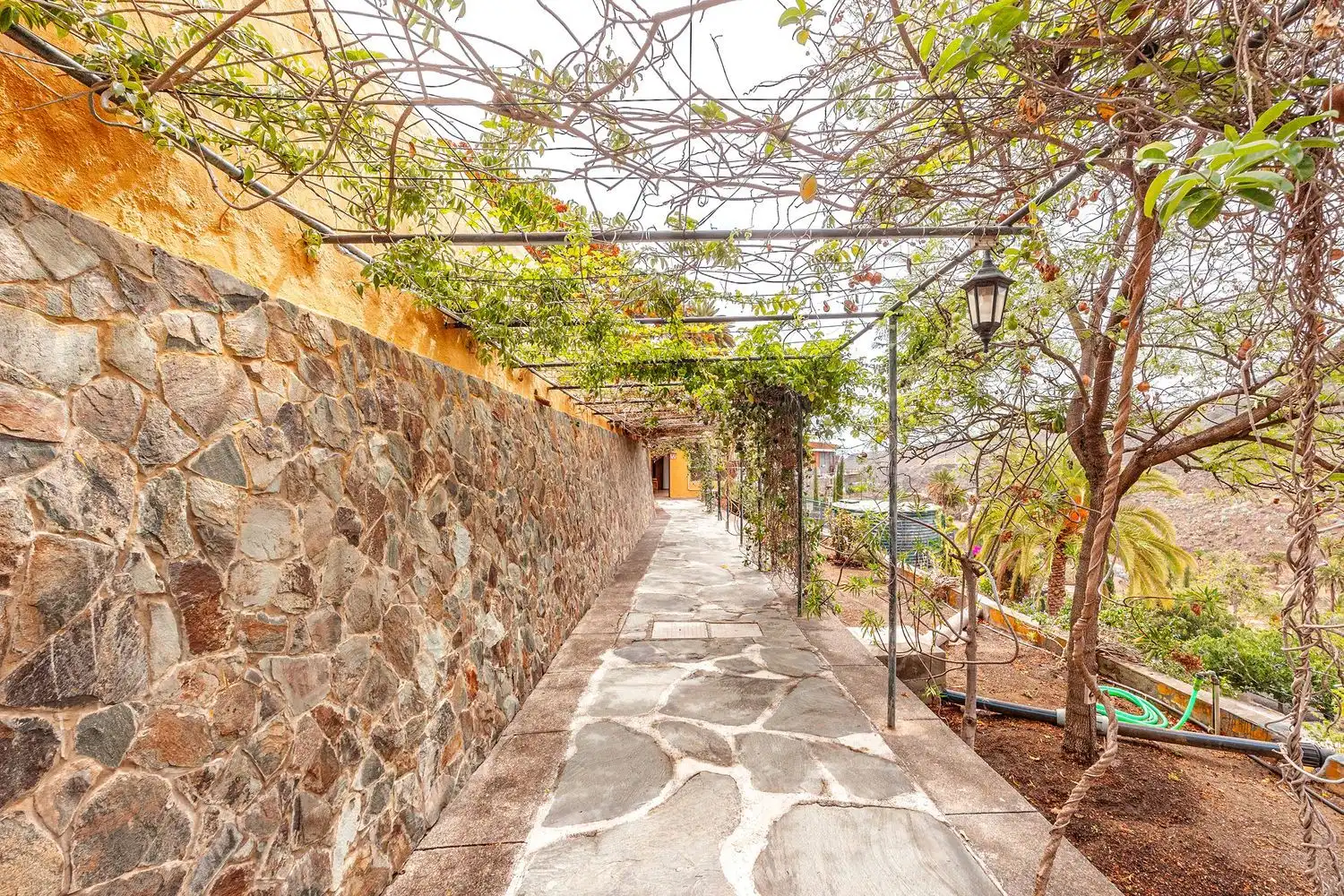 Terraza de Casa o chalet en venta en Telde con Jardín privado, Terraza y Piscina