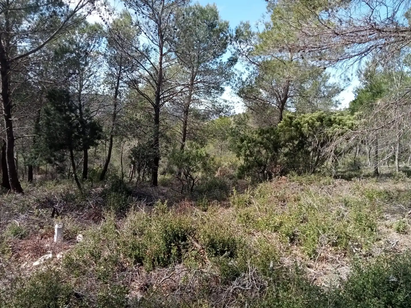 Residential land for sale in Calle Nueva Sierra CT