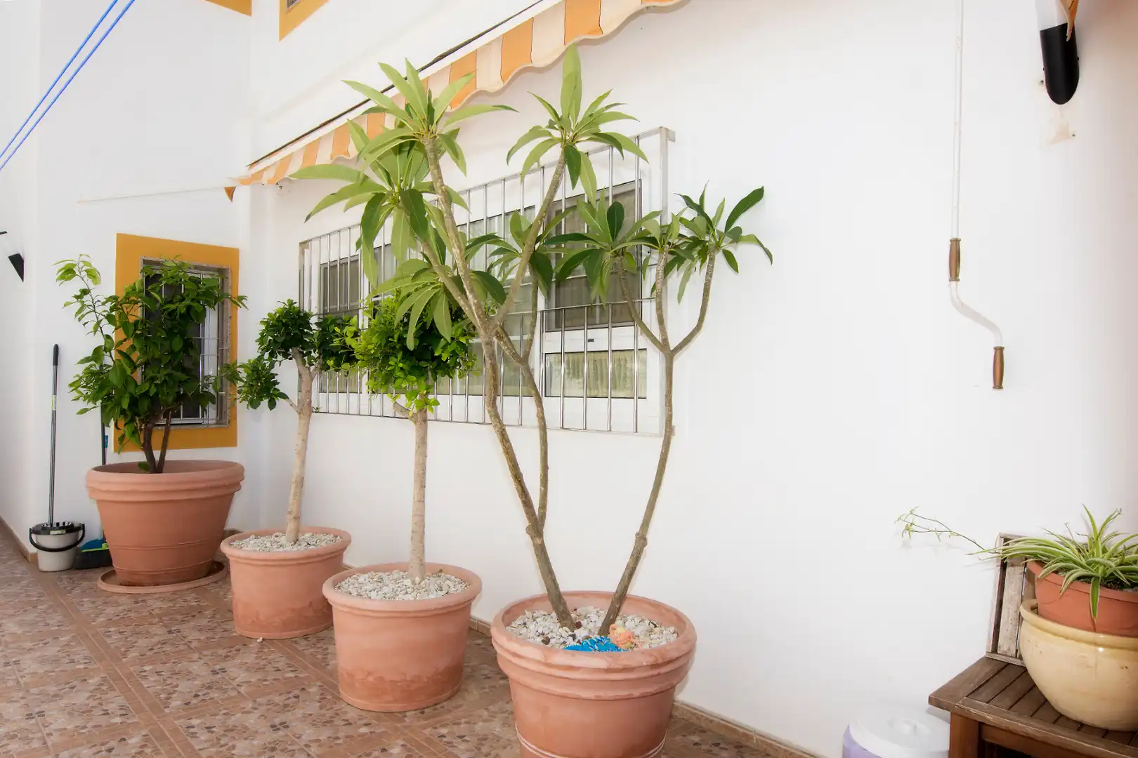 Jardín de Casa o chalet en venta en Carboneras con Aire acondicionado, Calefacción y Jardín privado