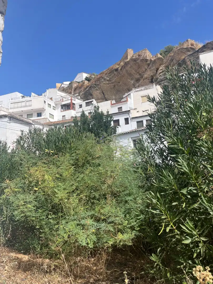 Vista exterior de Casa o chalet en venta en Setenil de las Bodegas con Jardín privado y Trastero