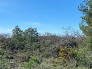 Terreno en venta en El Pont d'Armentera
