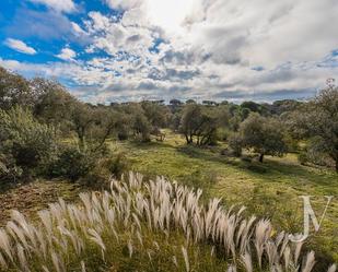 Residencial en venda en Pozuelo de Alarcón