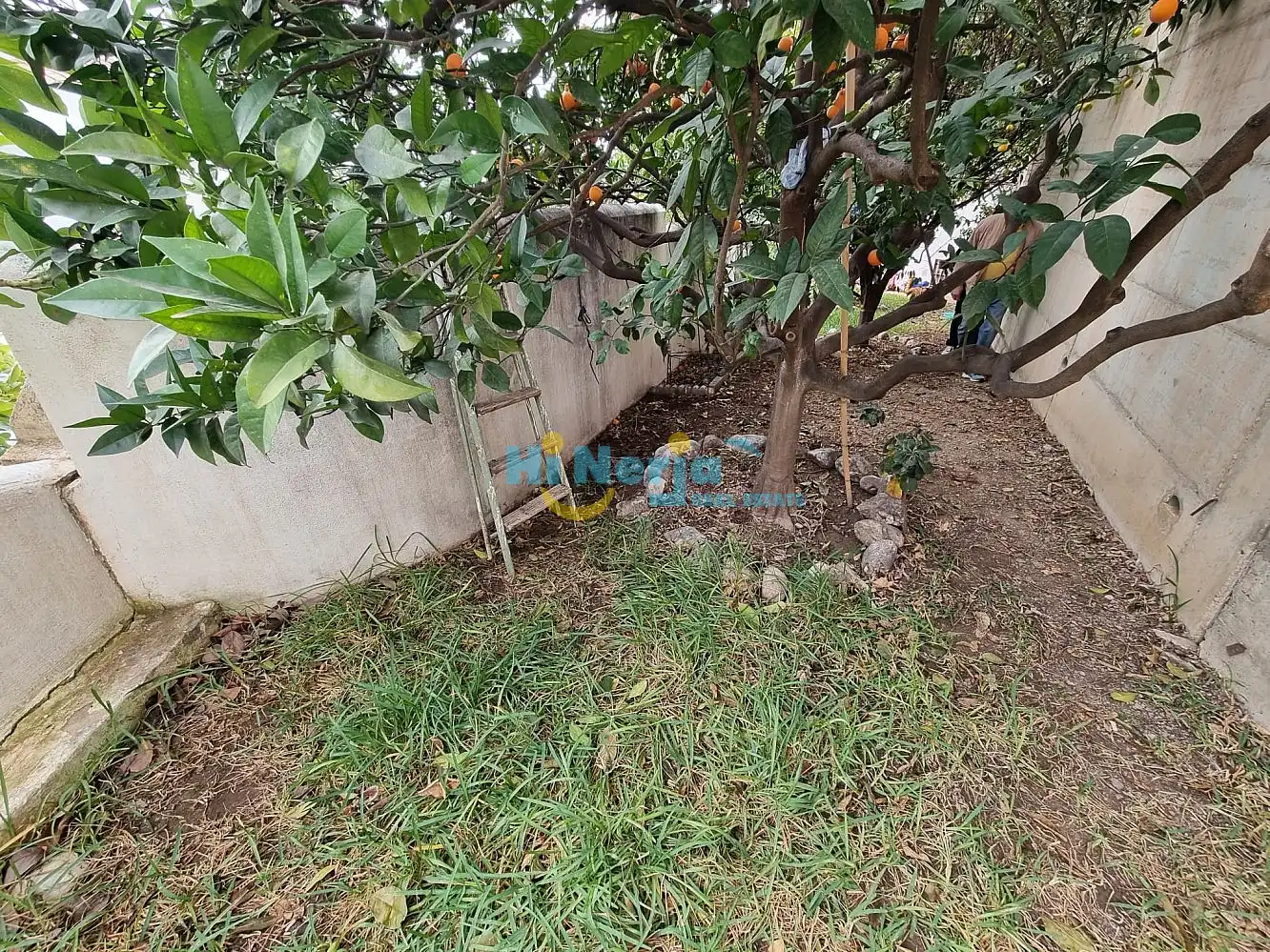 Maison à vendre à Centro, imagen 48