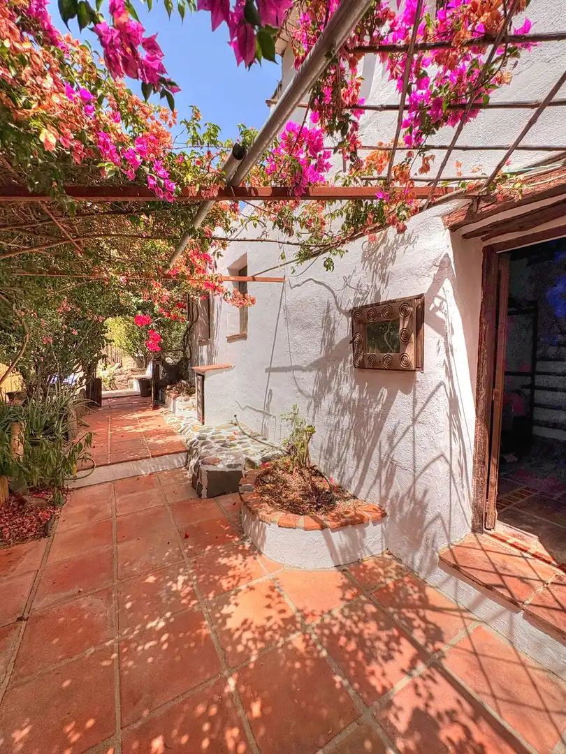Vista exterior de Finca rústica en venta en Benamargosa con Jardín privado y Amueblado