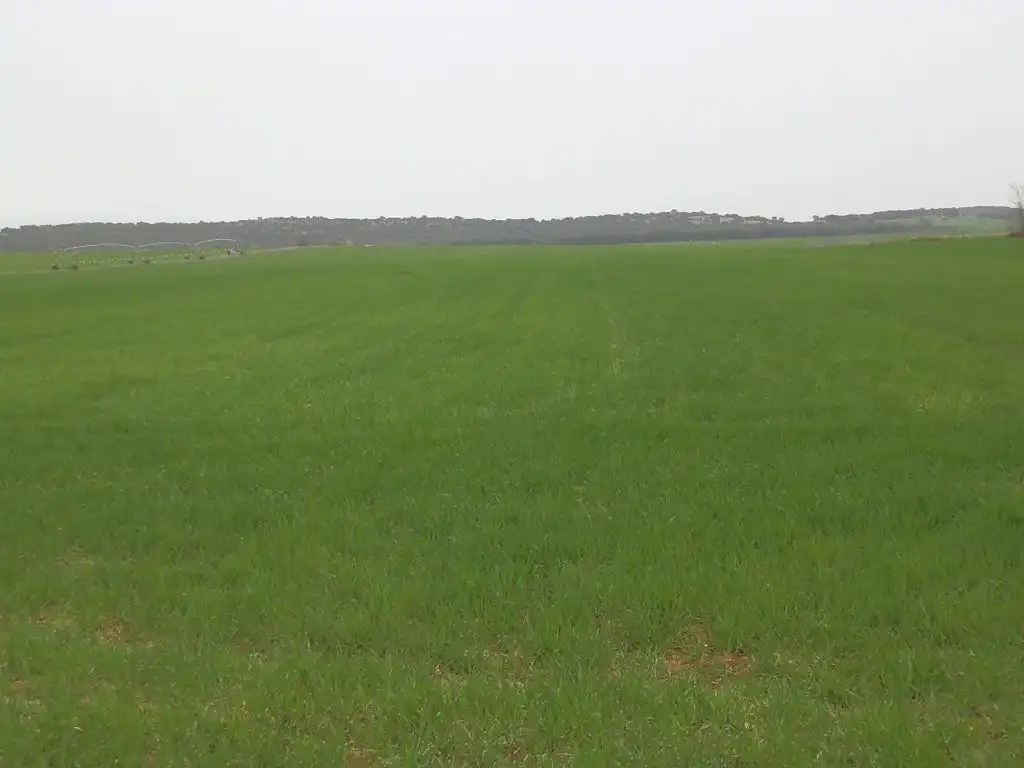 Terreno rustico in vendita a Centro - Plaza Mayor, imagen 6