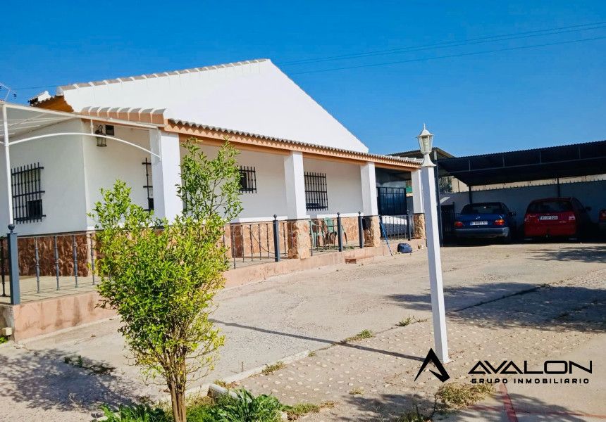 Vista exterior de Finca rústica en venda en Moguer amb Aire condicionat, Jardí privat i Traster