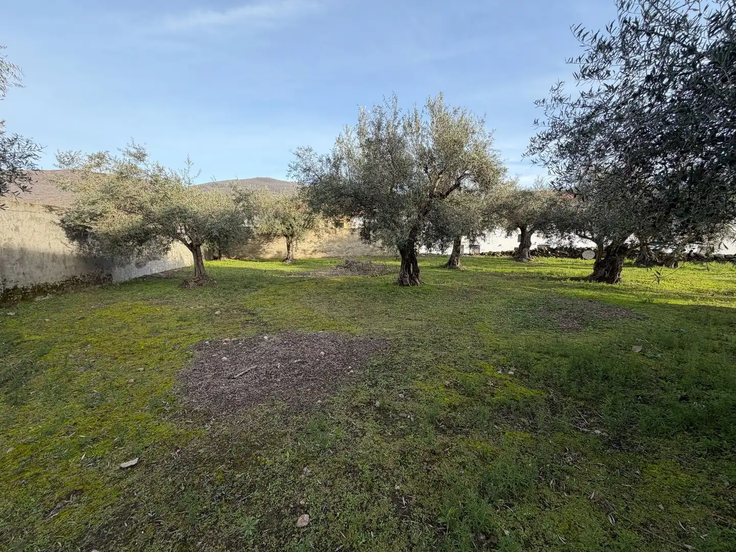 Residencial en venta en Gargüera