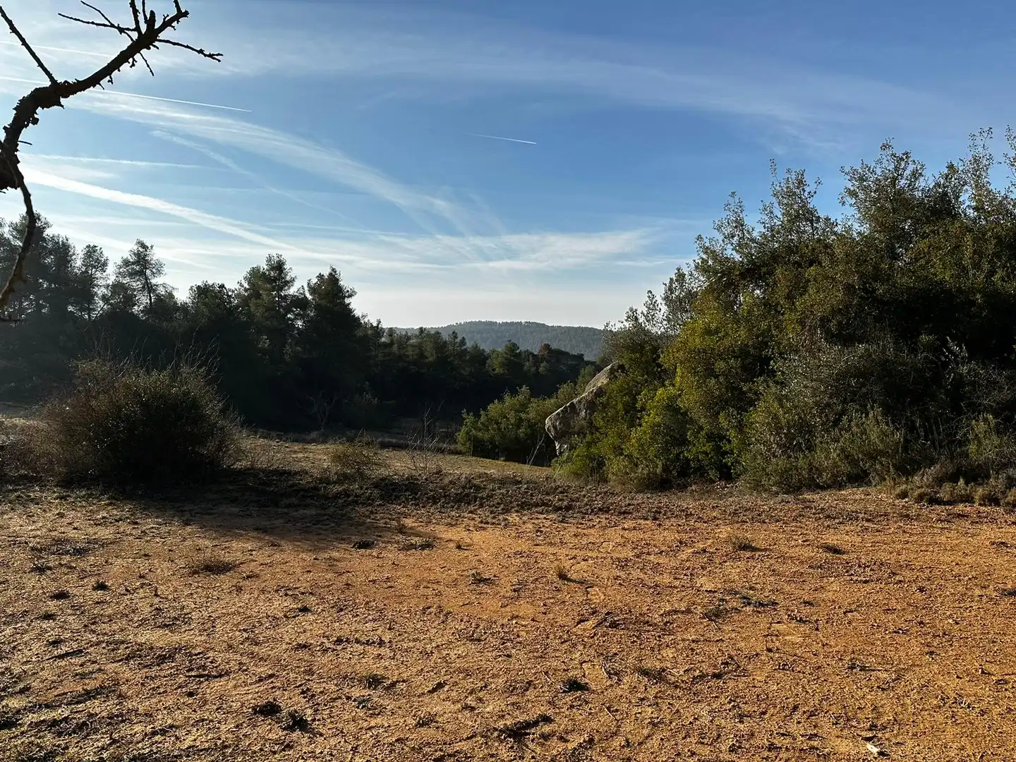 Rural land for sale in Cervià de Les Garrigues, imagen 2
