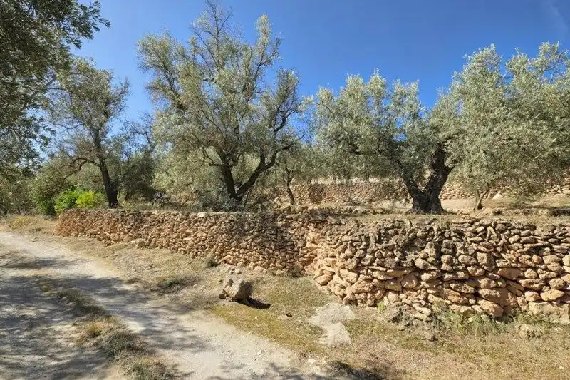 Terreno rustico in vendita a El Pinar, imagen 12