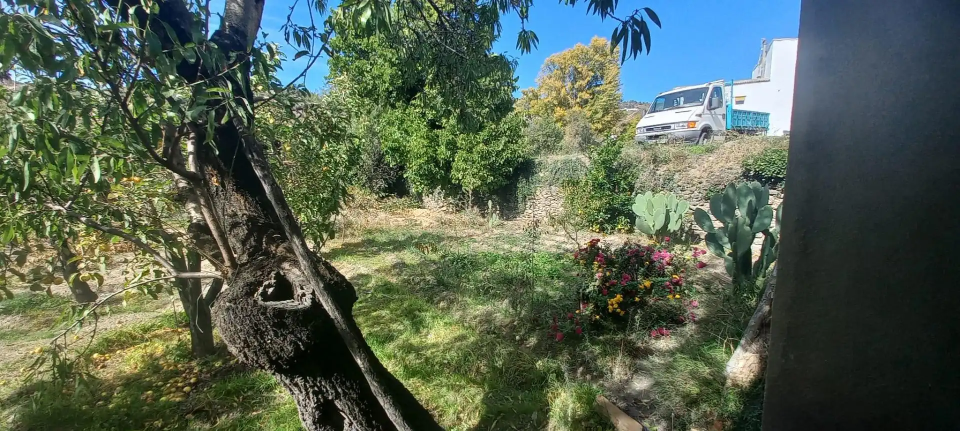 Casa rústica amb terrassa en venda a Cádiar, imagen 28
