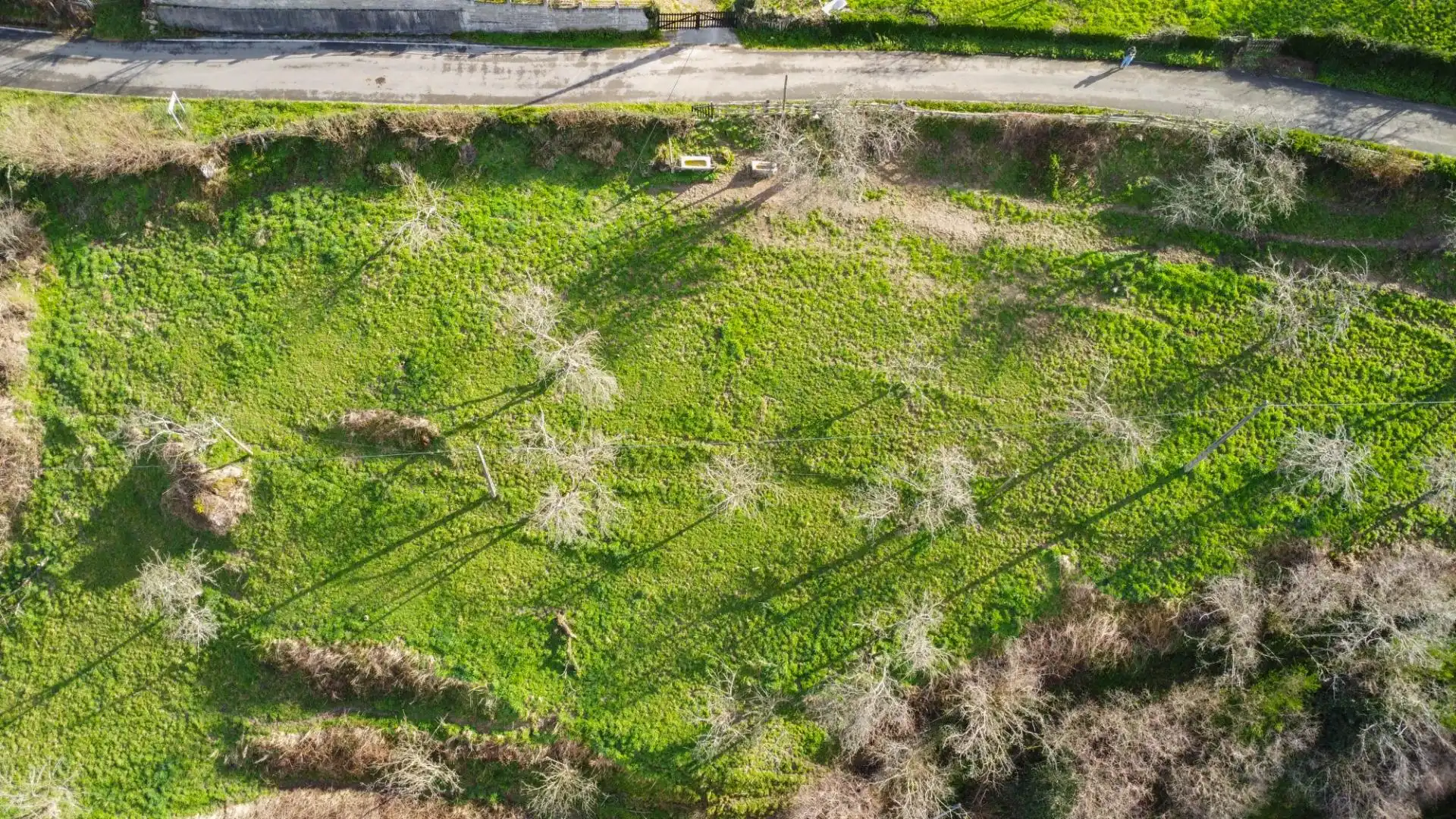 Land for sale in Riosa
