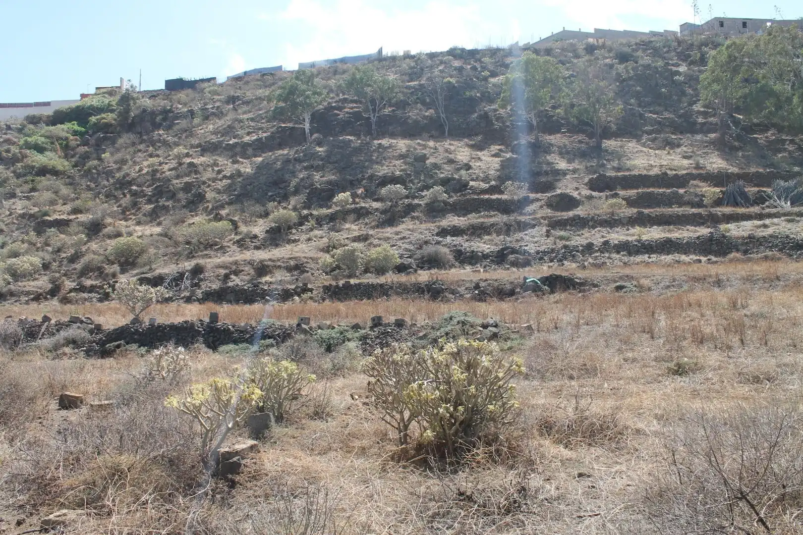 Rural land for sale in San Gregorio, imagen 5