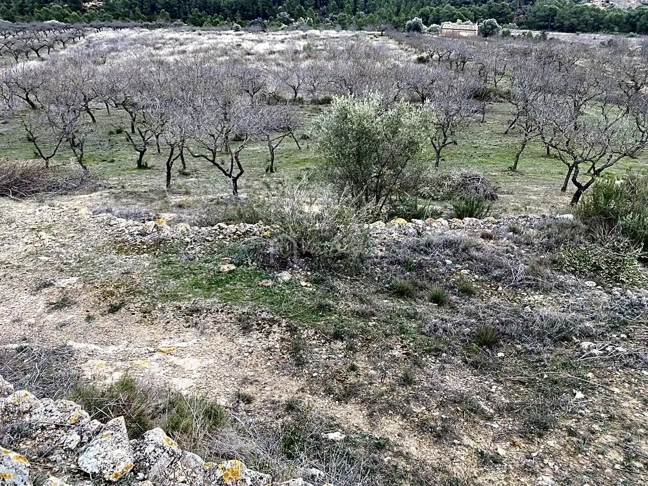 Terrain rustique à vendre à PLANELLES, imagen 22