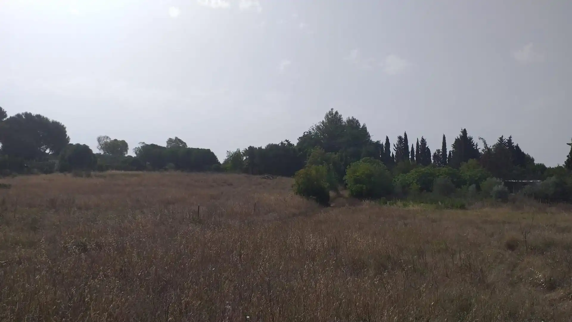 Rural land for sale in El Rocío - La Milagrosa, imagen 11